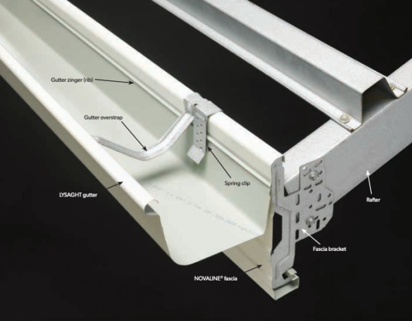Fascia - Image 2